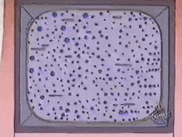 Simpsons GIF