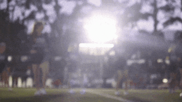 izzymitchell  GIF