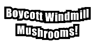 United Farm Workers (UFW) Sticker