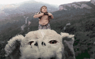 Neverending Story Wtf GIF