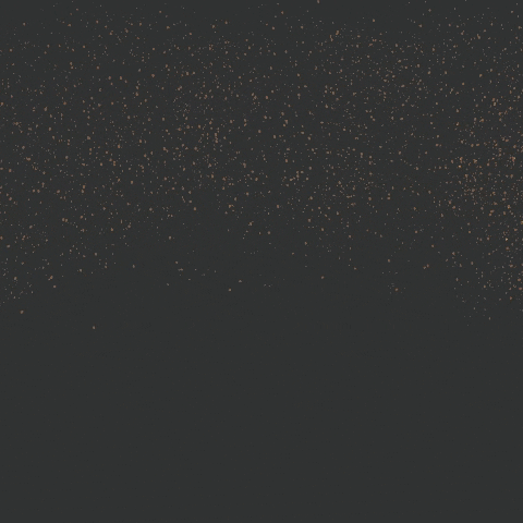 GIF by MC Meroni & Colzani