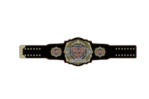 Grappling Sticker by ArlanMMA