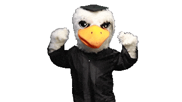 Victory Bayhawks Sticker by Bristol Community College