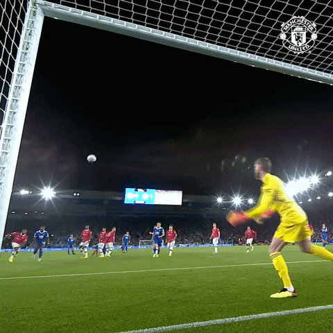 Save David De Gea GIF by Manchester United