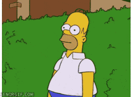 giphy.gif?cid=82a1493bid23cjdd0yaqkeakopgj15sc366hj3f8oayez7fw&rid=giphy.gif