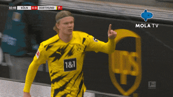 200.gif?cid=fc005b089d53b22a3db349d73c3b8ad8eedd6d99ff446e3d&rid=200.gif&ct=g