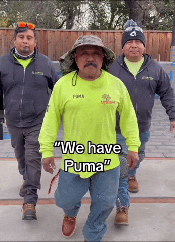 Puma GIF