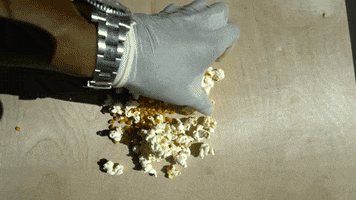 Education Popcorn GIF by DIIMSA Stock