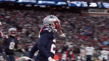 Happy Adrian Phillips GIF by New England Patriots