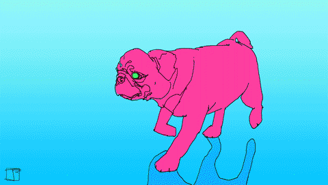 Pug Life GIFs Get The Best GIF On GIPHY