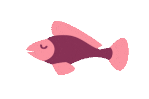Pink Swimming Sticker