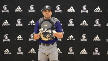 Wsuwarriors GIF by WinonaStateATH