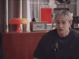 Stray Kids Skz GIF