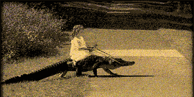 source.gif