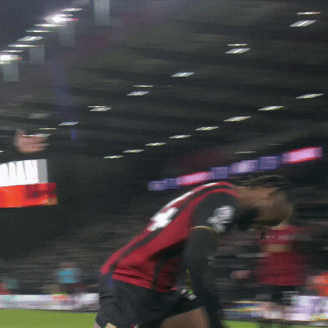 Happy Celebration GIF by AFC Bournemouth