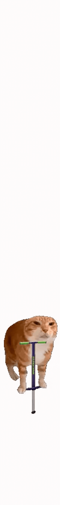 Pogo Stick GIF