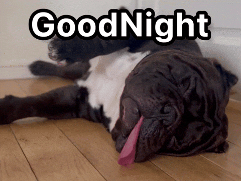 Good Night 犬 GIF - Find & Share on GIPHY