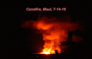 marywhisperingwind hawaii agriculture pollution maui GIF