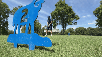 Dg Lps GIF by Mstokie50