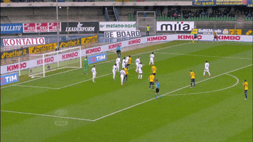 tancredinho  GIF