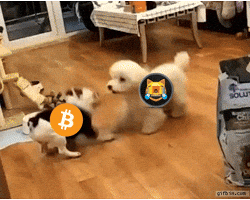 Press Release Crypto GIF by Web3 Newswire