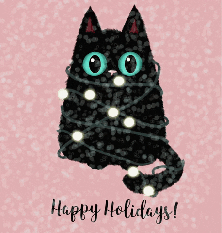 Winter Holidays Cat GIF