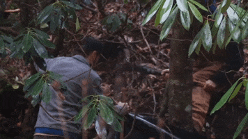 Axe Dirt Work GIF by JC Property Professionals