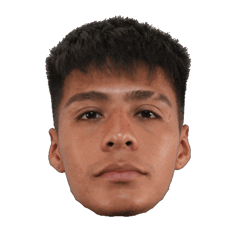 Futbol Sticker by Racing de Veracruz