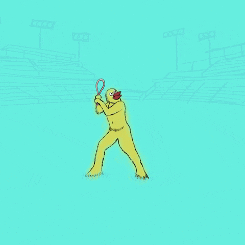 Baseball Ball GIF