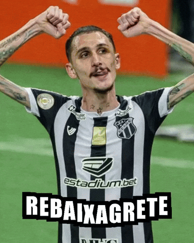 Fortaleza Esporte Clube Lion GIF