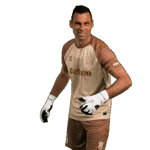 Goalcelebration Sejr Sticker by Brøndby IF