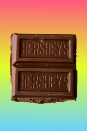 chocolate GIF by Shaking Food GIFs