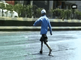 amandawills  GIF