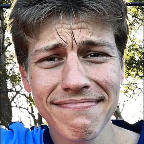 Boscobears GIF by Braken