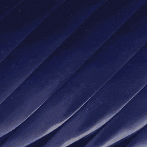 Dillondanis GIF by Duel