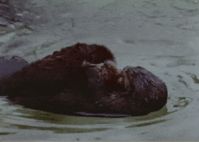 Baby Swimming GIF by US National Archives