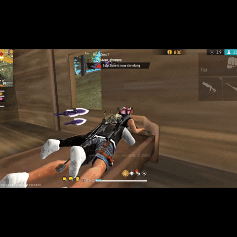 Safan GIF