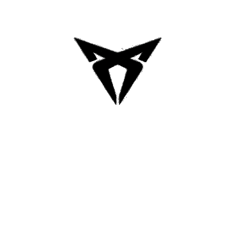 Cupra Sticker by Autoleone2