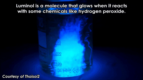 INVES. on the light emission produced in the oxidation reaction and  chemiluminescence of Luminol