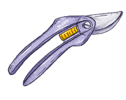 Summer Spring Sticker