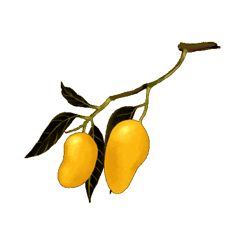 Full Circle Gin Sticker by fullcircledistillers