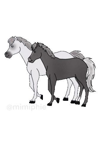 Pferd Sticker by Vetfit Tiertherapie