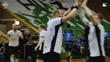 Czech Republic Handball GIF by HCB Karviná