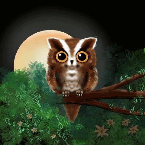 animattio moon bird tree owl GIF