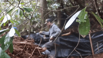 Axe Dirt Work GIF by JC Property Professionals