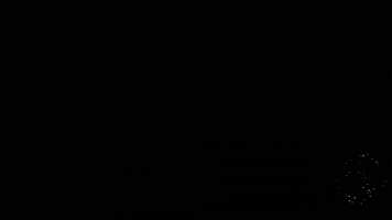Selva & Co Realty GIF