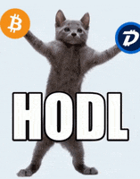 Invest Hold The Line GIF by DigiByte Memes