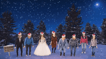 Holidaydance GIF by VISION Production Group
