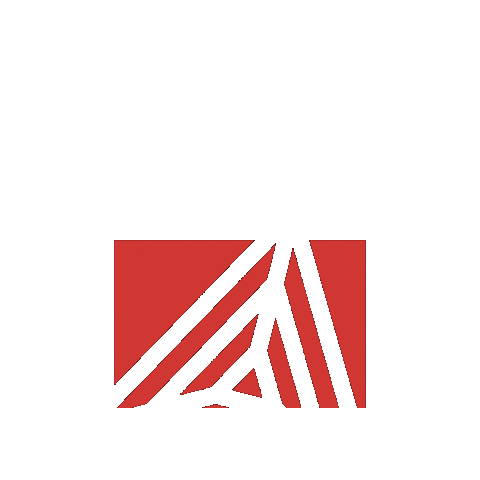 Ns Snowboarding Sticker by Never Summer Industries