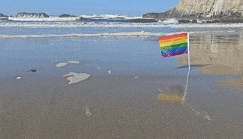 Gay Pride Rainbow GIF by AceArchive